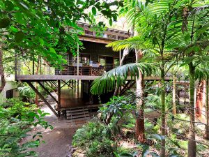 Treehouse_Web_001